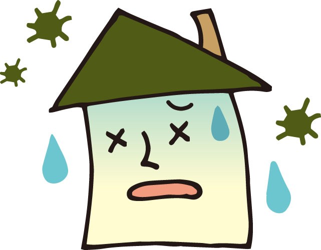 東京 江戸川区 葛飾区 雨漏り 屋根リフォーム